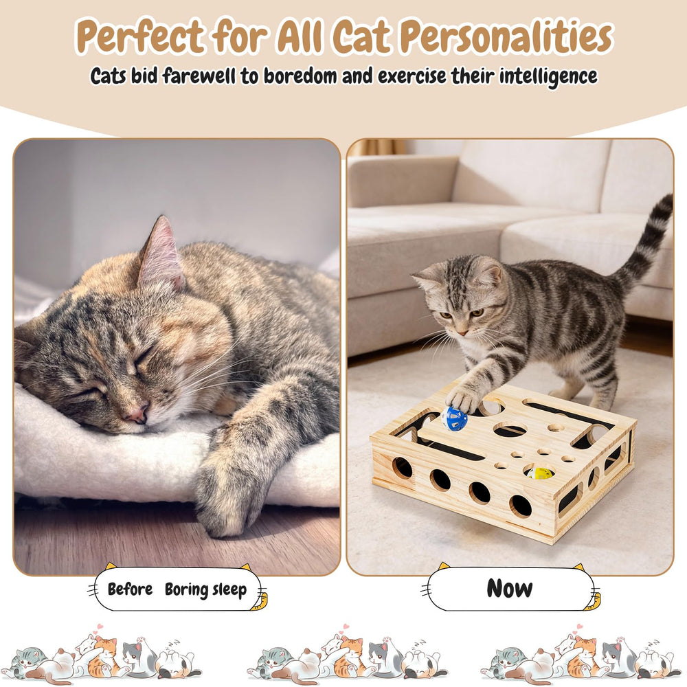 The Loojzz Cat Nail File Scratch Enrichment Box suits kittens and adults for safe, engaging play.