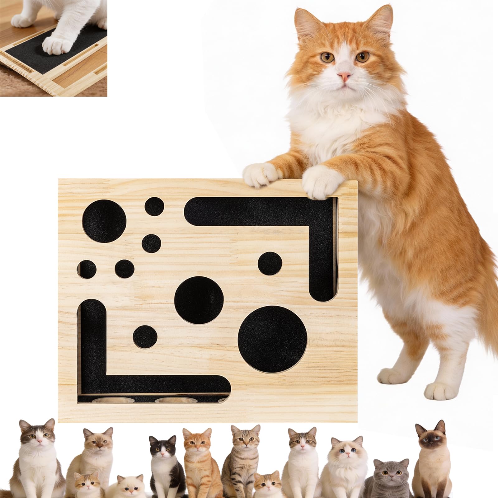 The Loojzz Cat Nail File Scratch Enrichment Box interior maze for mental stimulation and claw care.