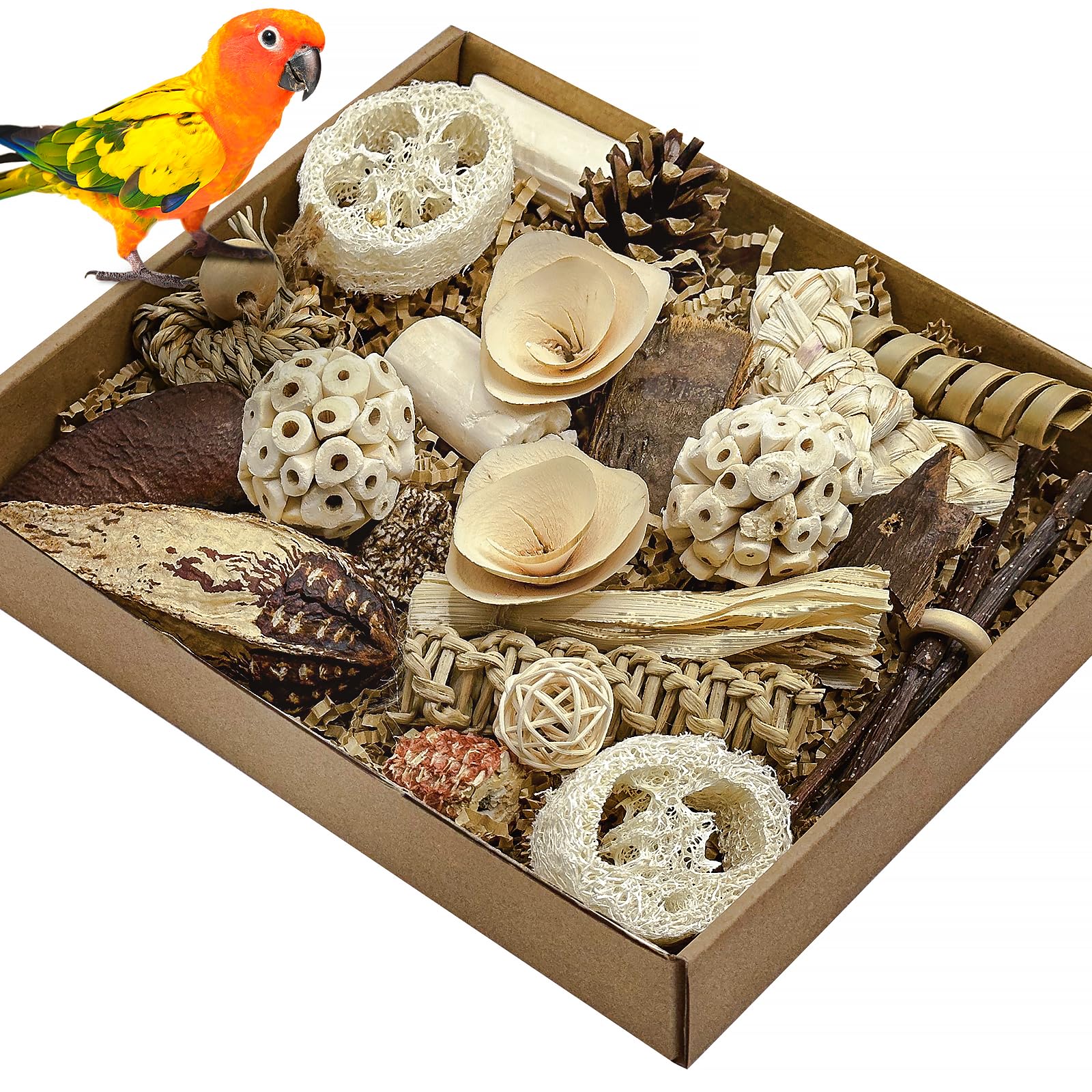 LOPERDEVE Nature Color Foraging Box opened for engaging foraging and shredding.