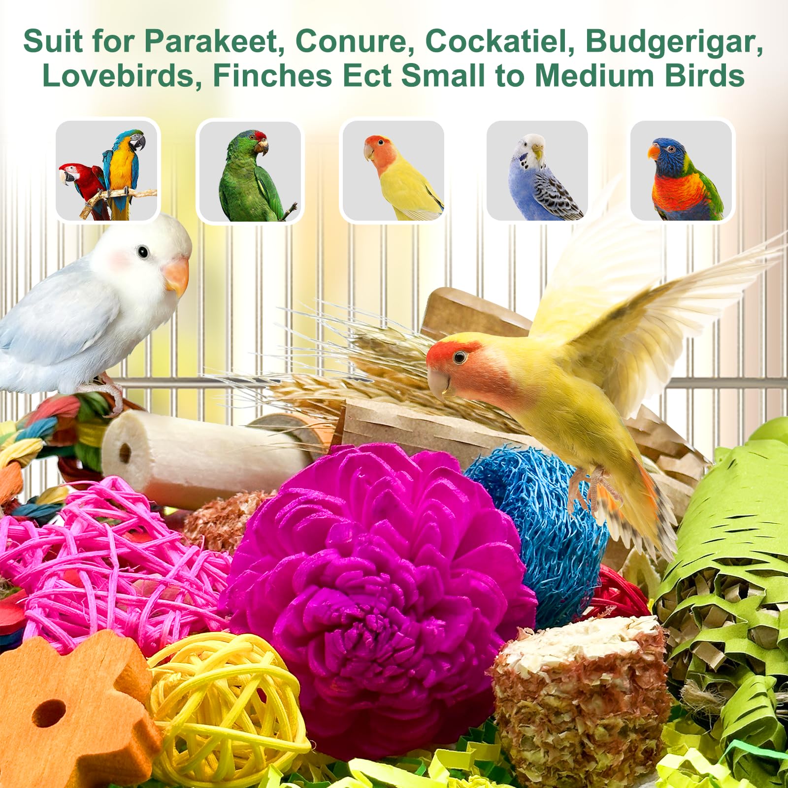 LOPERDEVE safe dyed materials for birds highlight non-toxic colors.