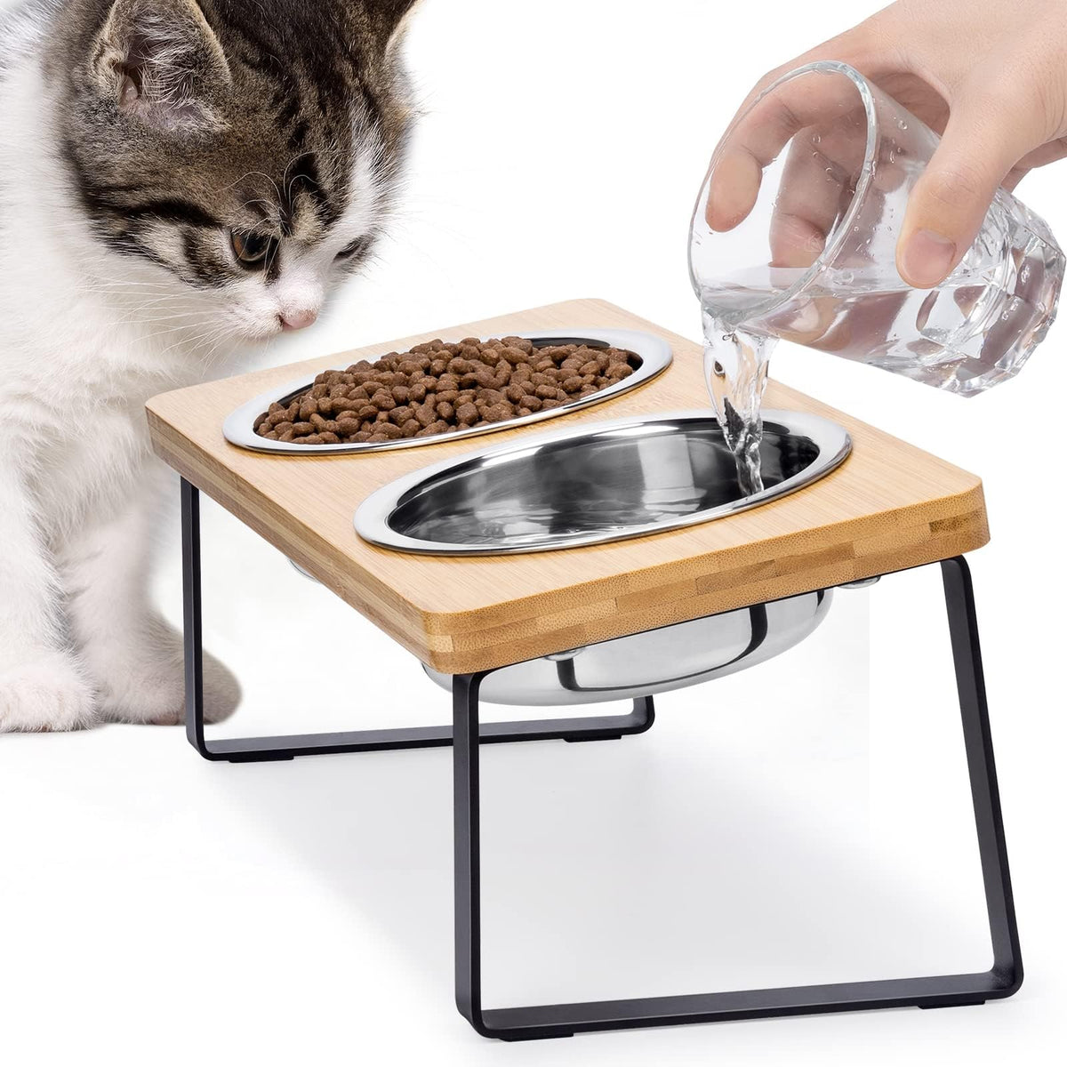 Loplurea elevated tilted cat bowl showing ergonomic design for easier meals