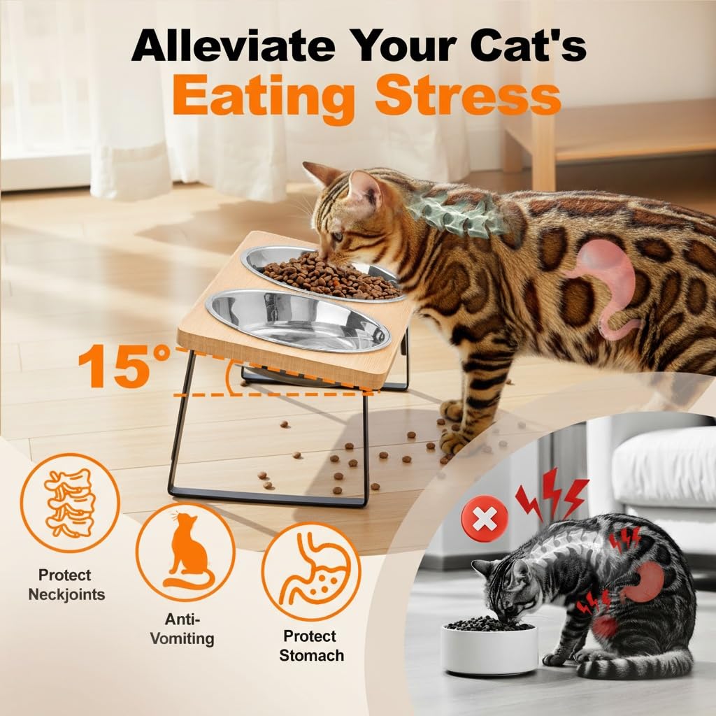 Loplurea stainless steel cat bowl with a clean, durable surface