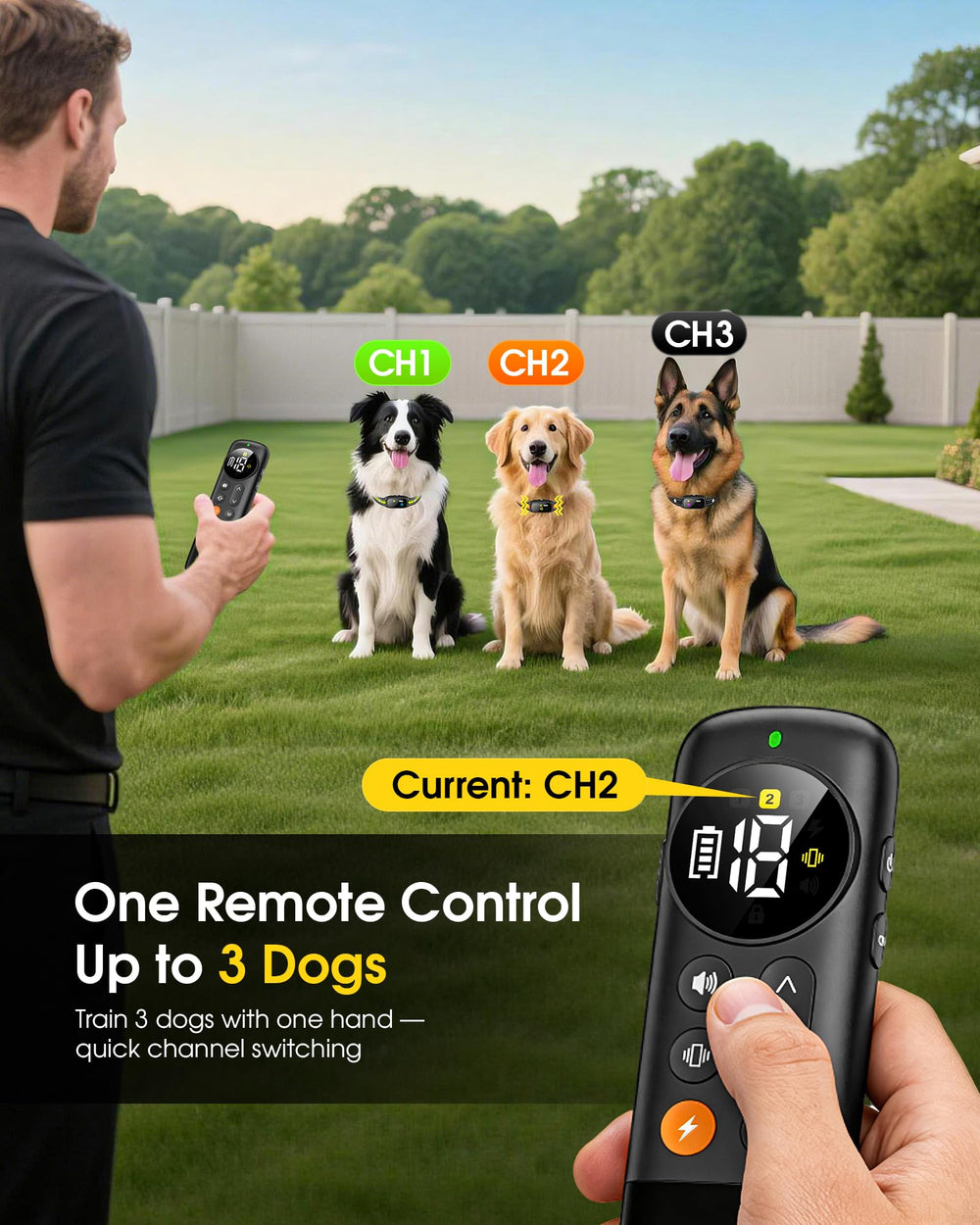 LORDSBABY 3-channel system shows independent control for three dogs.