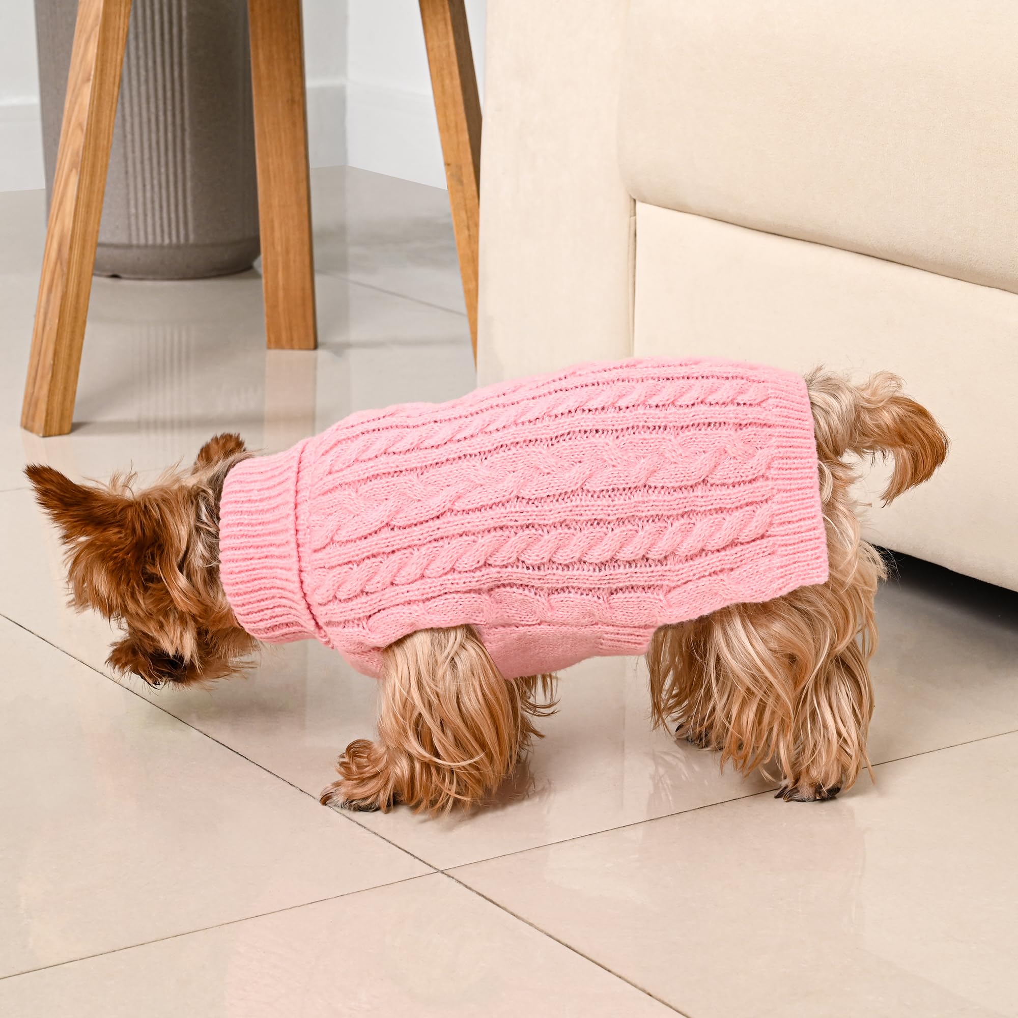 Lorehelina Christmas-themed dog sweater on holiday styling scene