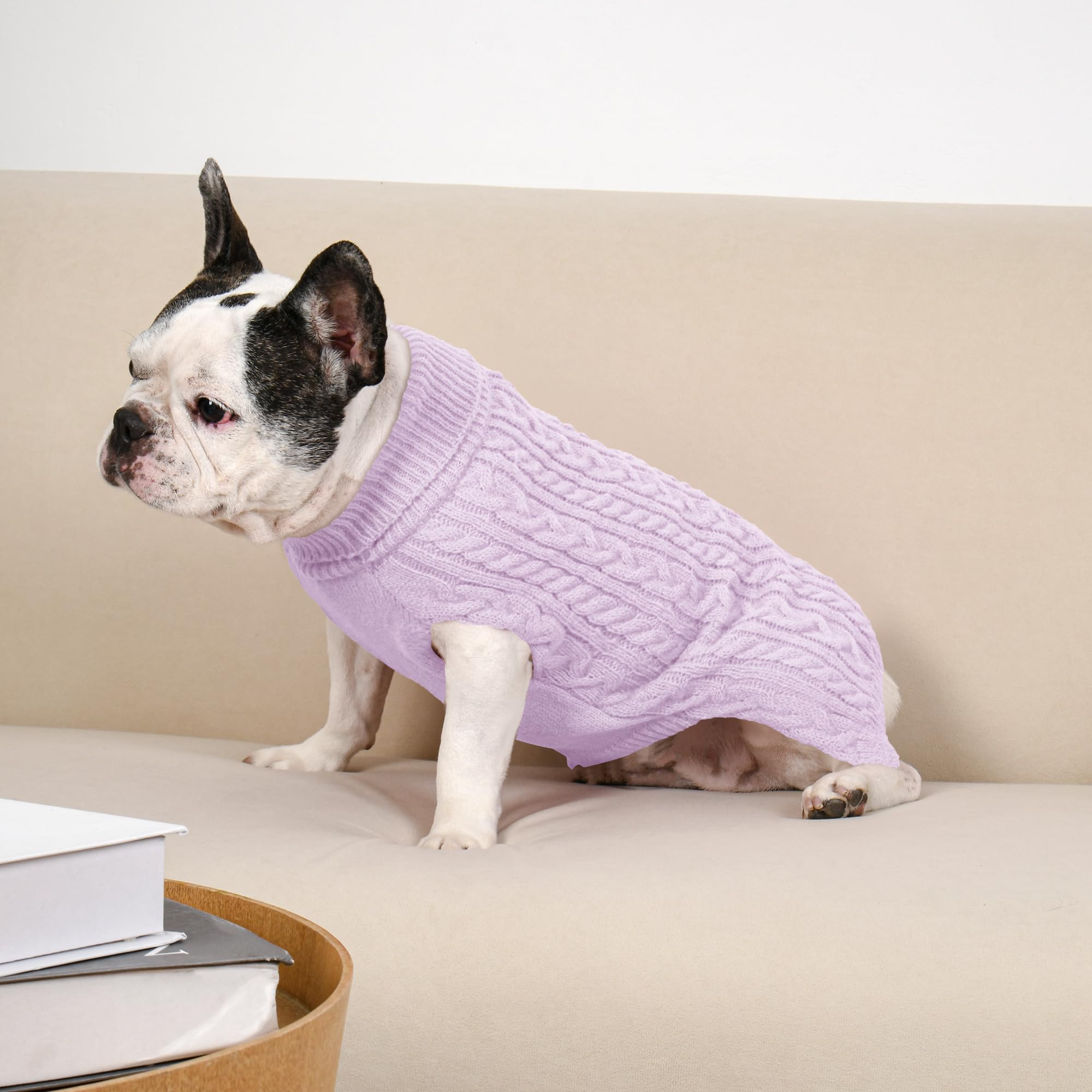 Holiday-ready Lorehelina dog sweater for festive photos.