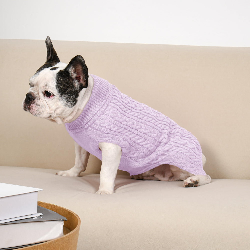 Holiday-ready Lorehelina dog sweater for festive photos.