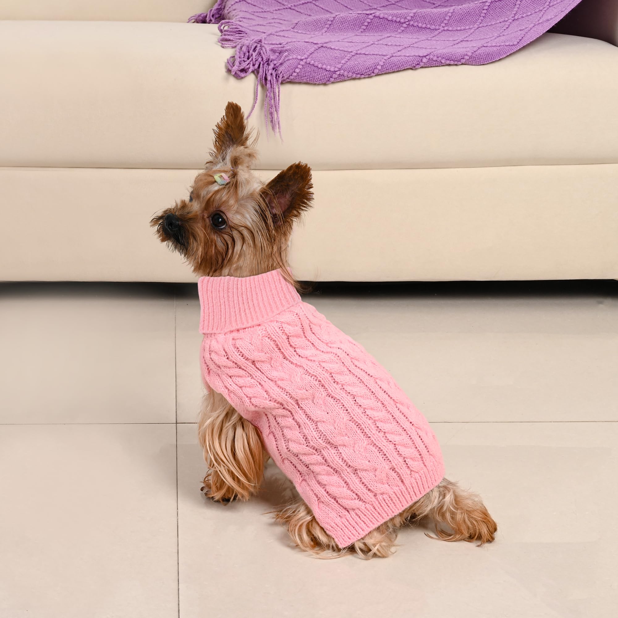 Lorehelina small breed model wearing pink-purple sweater for chihuahua yorkie