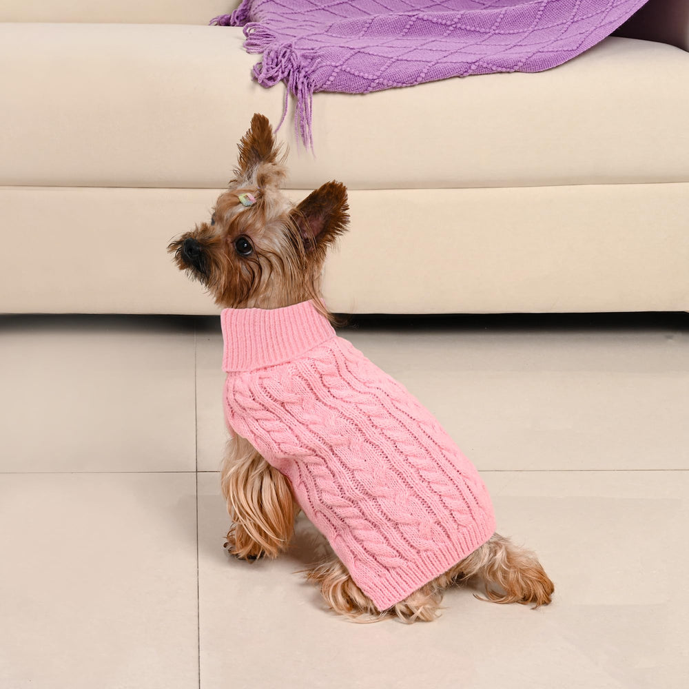Lorehelina small breed model wearing pink-purple sweater for chihuahua yorkie