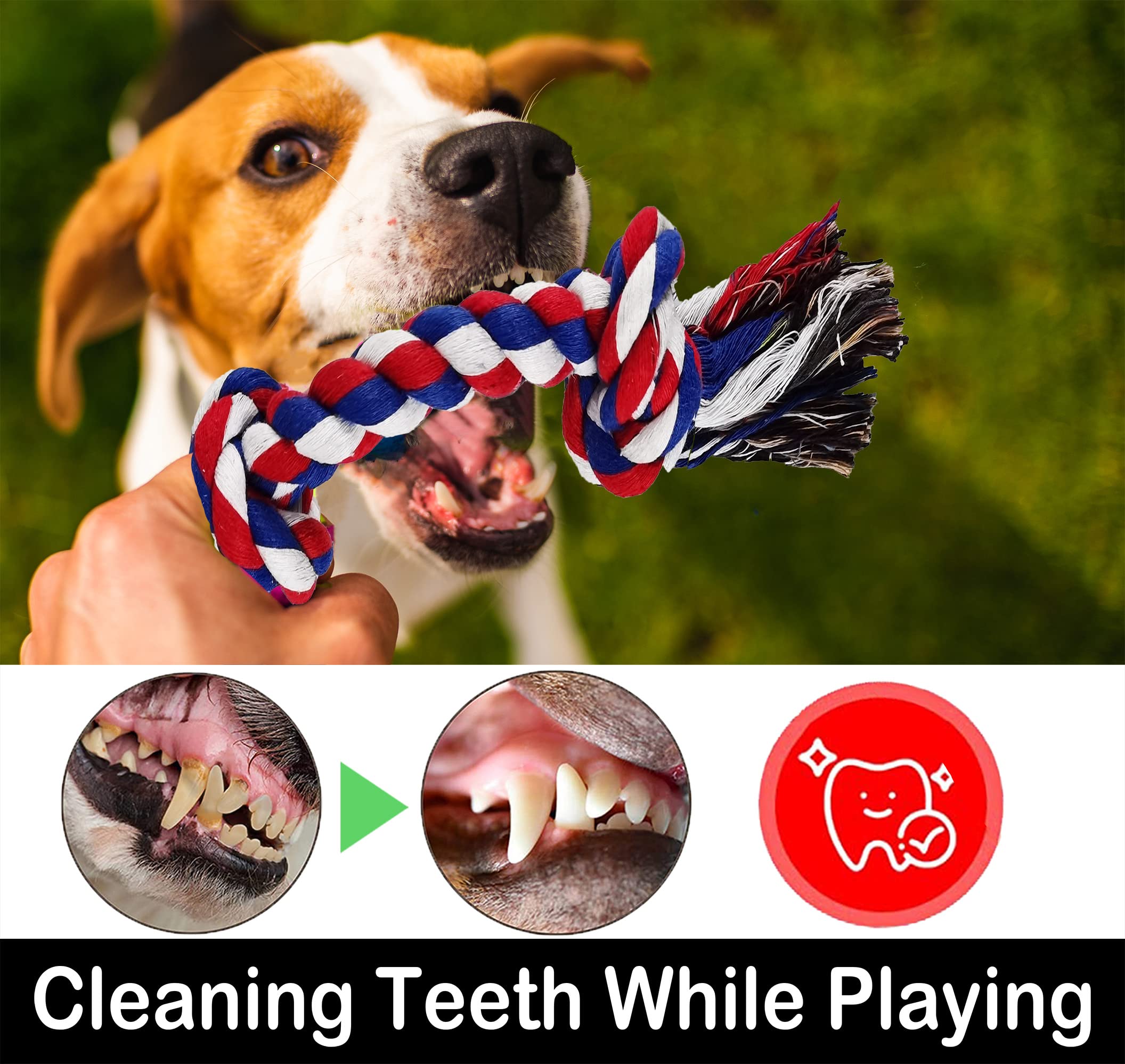 LosFong rugged rope toy demonstrates long-lasting durability for large breeds