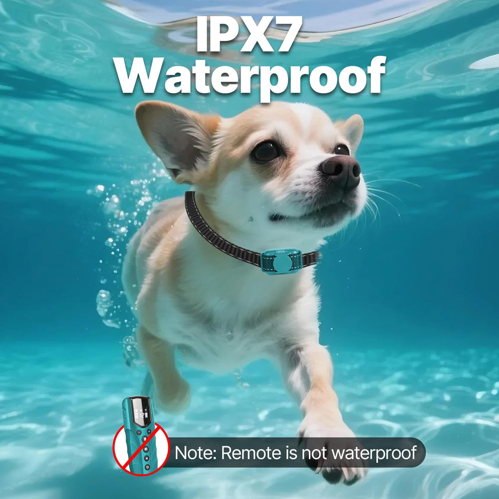 LOSULF remote night-light helps locate your dog after dark.