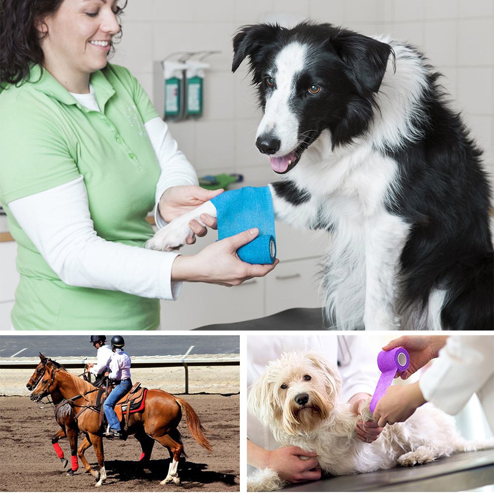 LotFancy vet wrap in first aid kit for on-the-go care