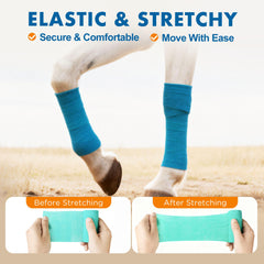 LotFancy vet wrap on dog leg shows secure fit during activity