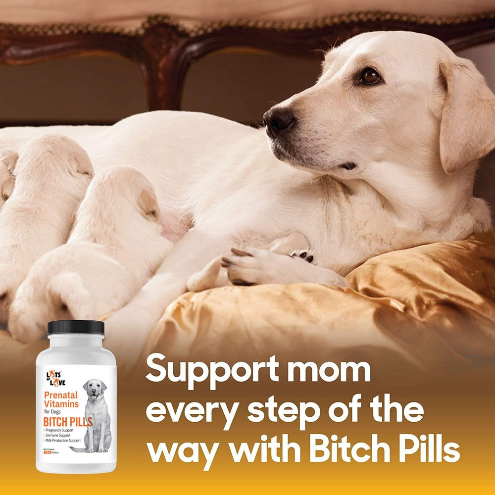 LOTS OF LOVE Bitch Pills label close-up highlighting folic acid