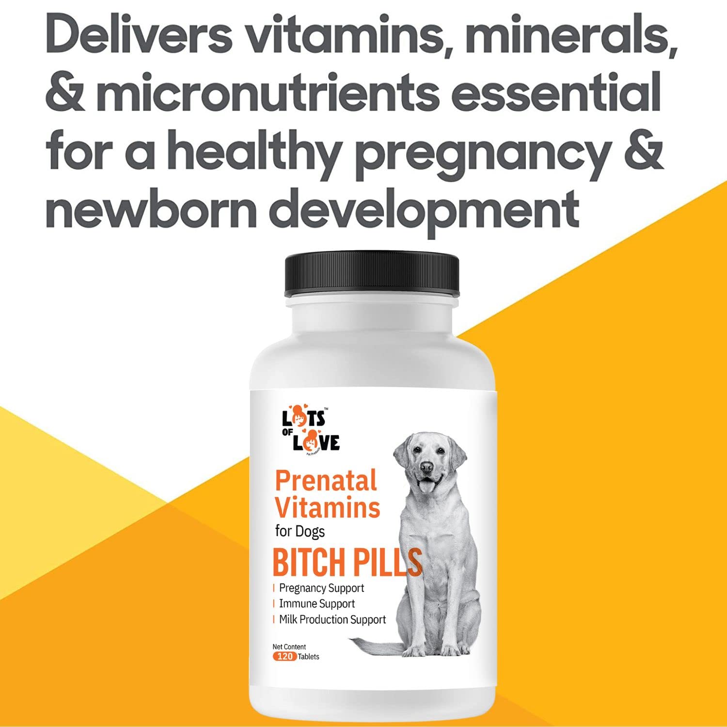 LOTS OF LOVE Bitch Pills nutrition facts panel emphasizing calcium and iron