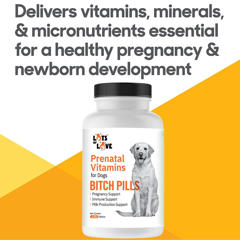 LOTS OF LOVE Bitch Pills nutrition facts panel emphasizing calcium and iron