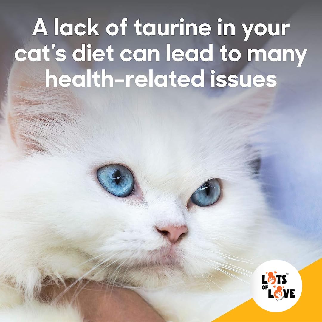 FELO Taurine label close-up highlighting ingredients and purpose.