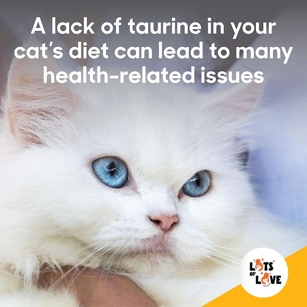 FELO Taurine label close-up highlighting ingredients and purpose.