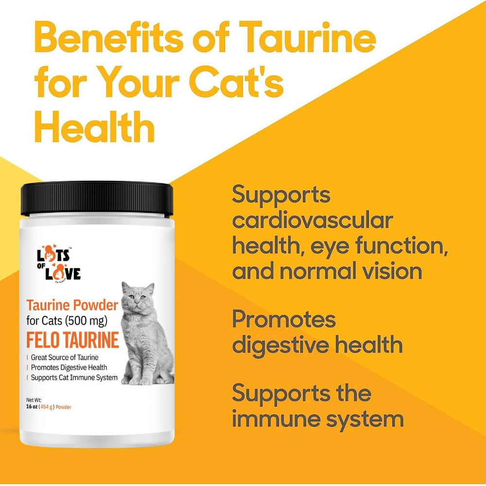 FELO Taurine measuring spoon beside the powder.