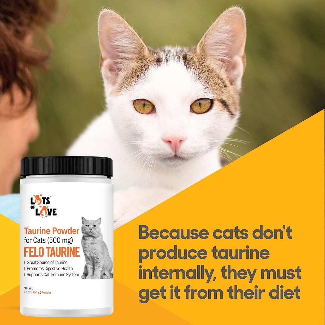 FELO Taurine scoop ready for daily measuring.