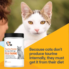 FELO Taurine scoop ready for daily measuring.