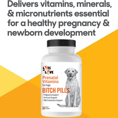 Lots of Love Bitch Pills nursing dog with puppies, supports lactation and care.