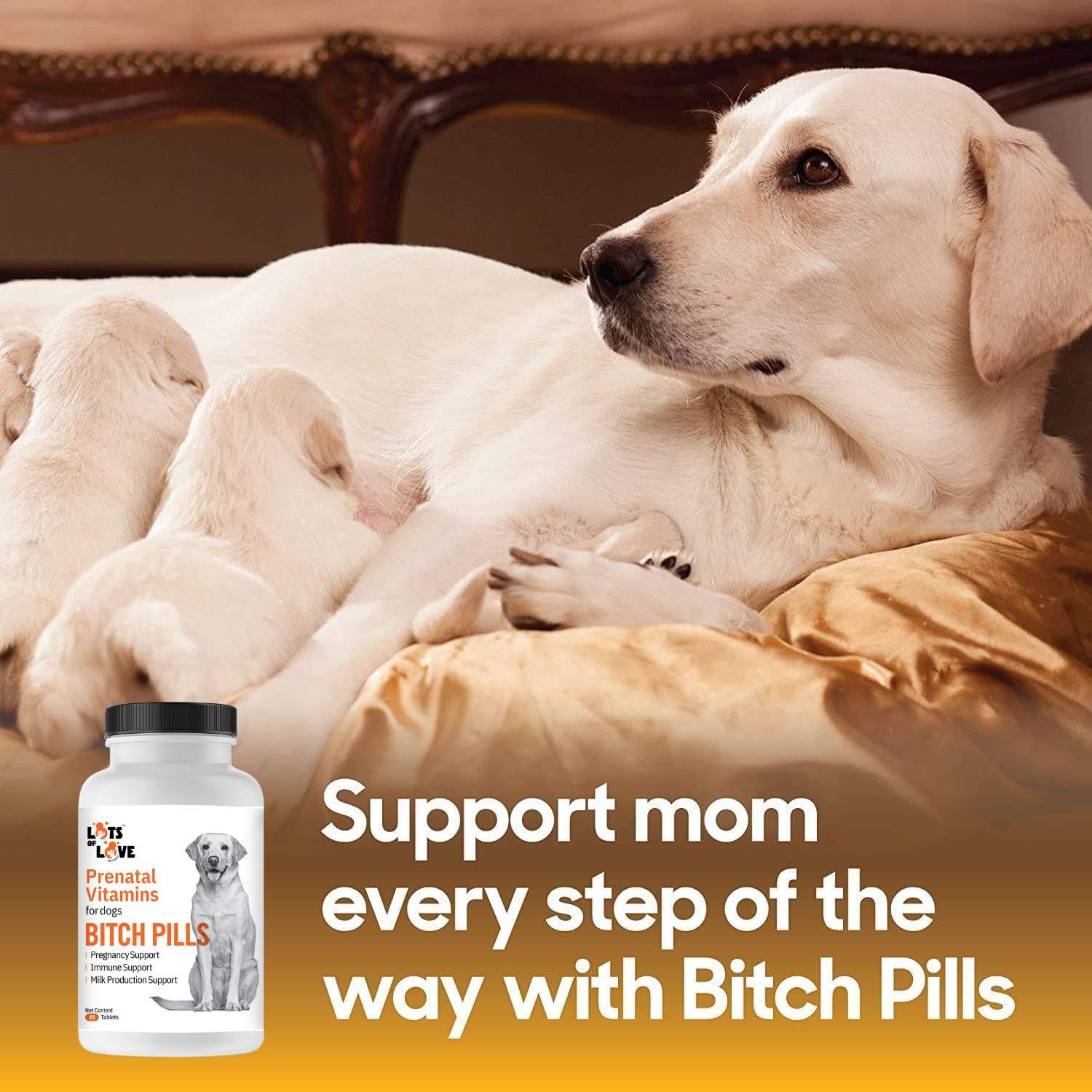 Lots of Love Bitch Pills puppy development scene, minerals and DHA support healthy growth.