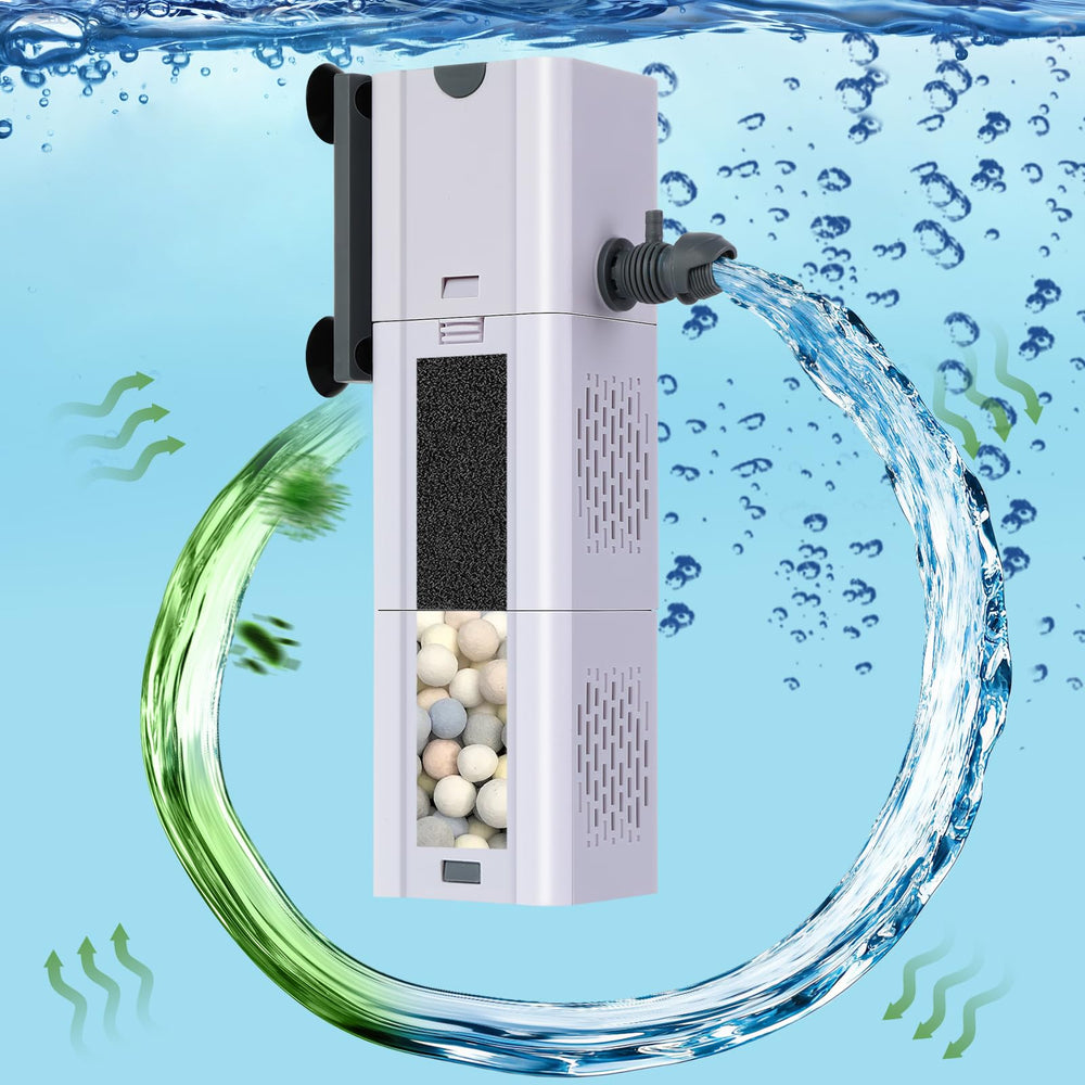 LoungingLife ideal for beginners seeking easier maintenance and reliable filtration.