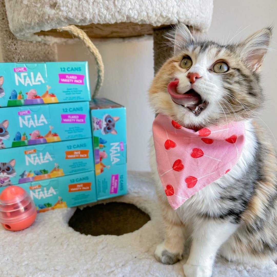 LOVE NALA cat-eating-scene shows mealtime satisfaction and hydration
