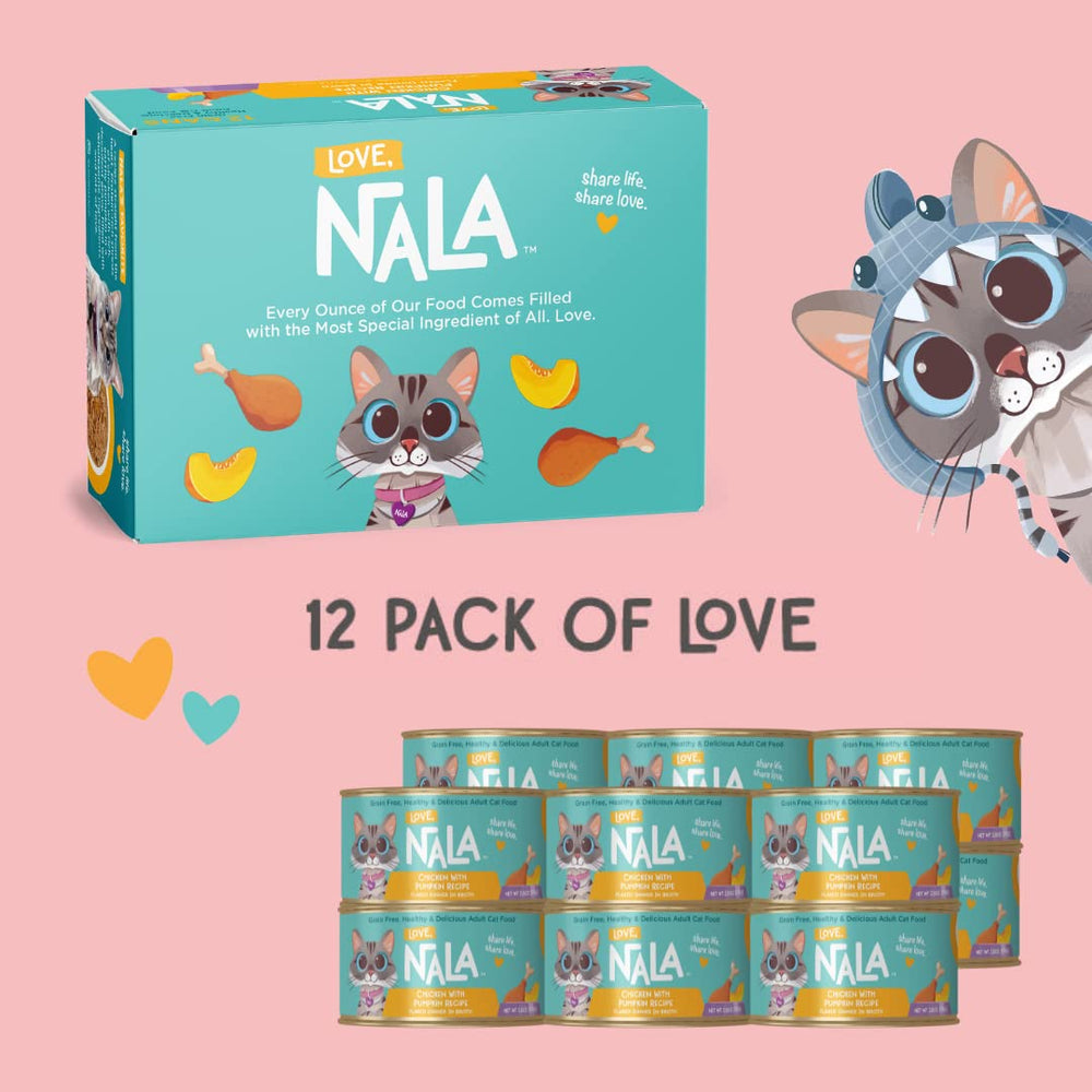 LOVE, NALA flaked chicken pumpkin in broth close view of ingredients