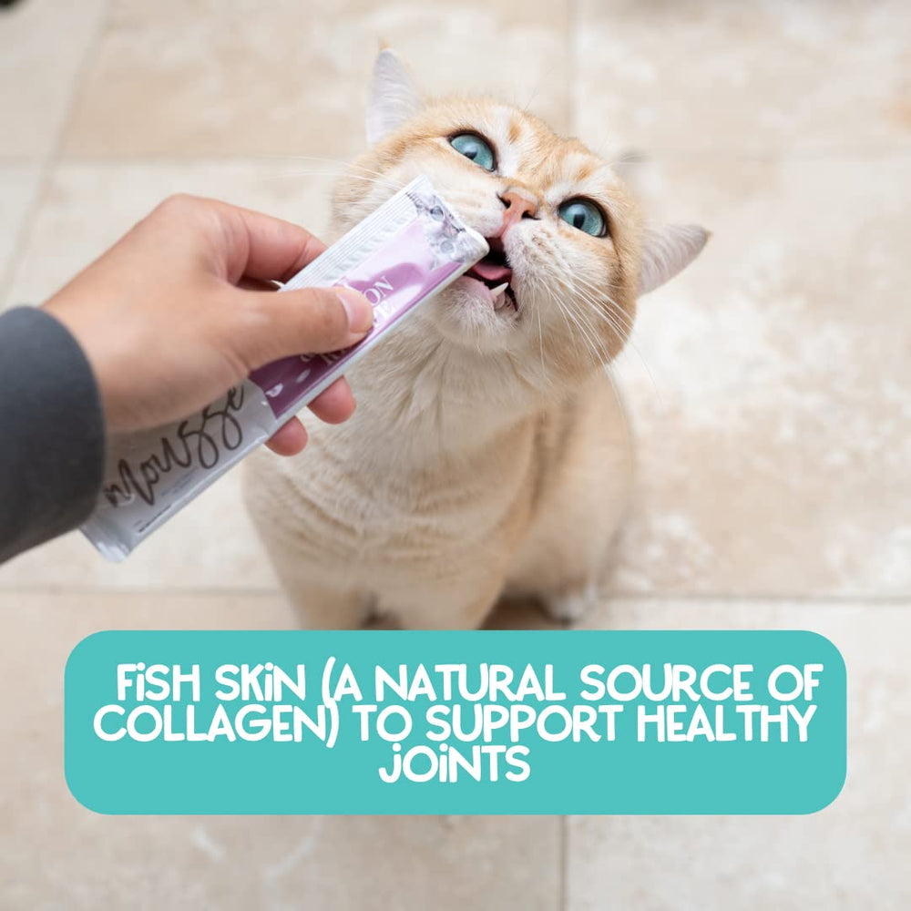LOVE NALA grain-free non-GMO ingredients spotlight wholesome nutrition.