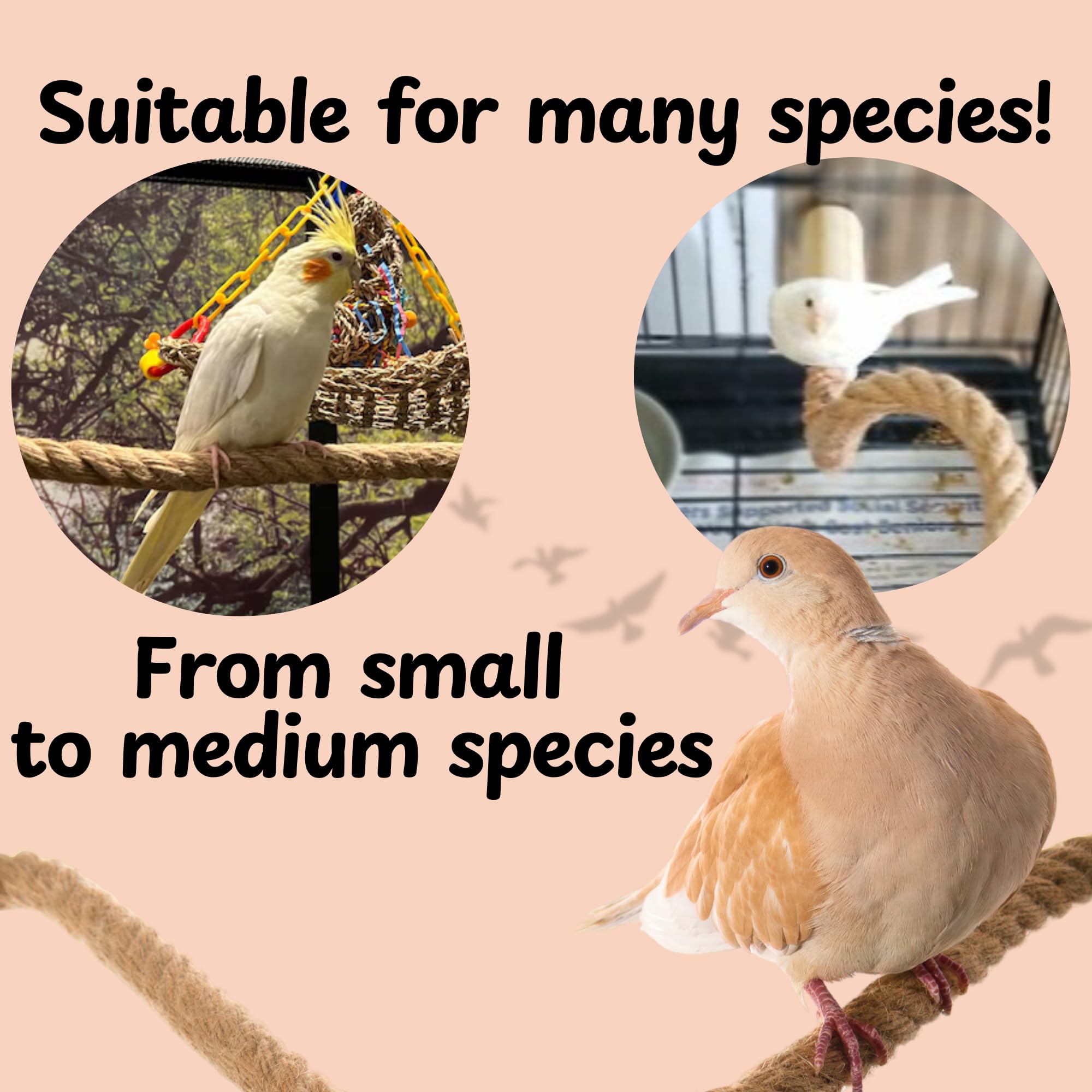 Lovely Little Flyers customizable perch in spiral shape to match your cage layout.