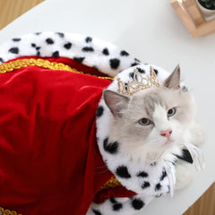 Lovelyshop Lux Fur Red Cloak for Pets back view highlighting wrap and fit