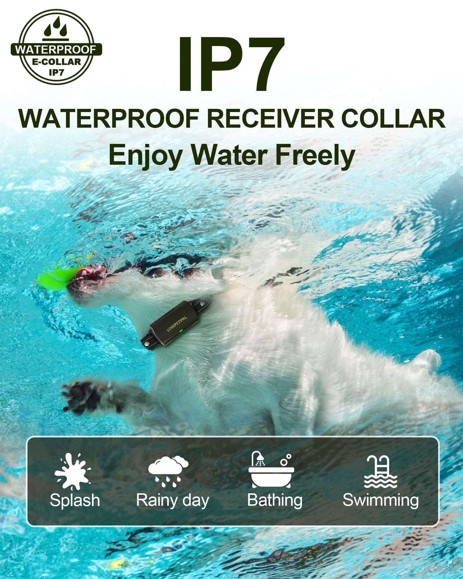 Durable LOVEPETPAL battery life keeps training sessions uninterrupted on hikes.