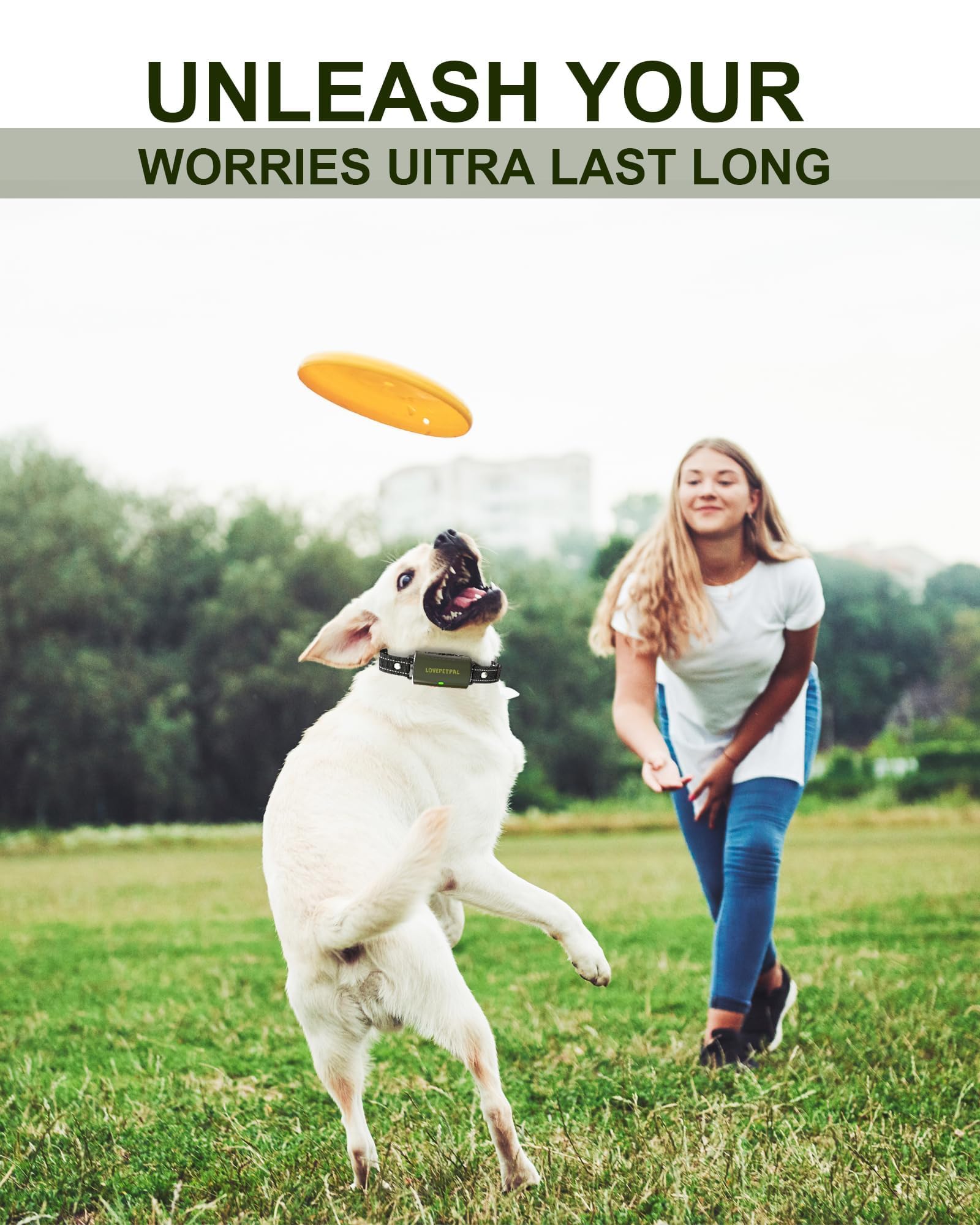 Lightweight LOVEPETPAL design fits small to large dogs for daily wear.