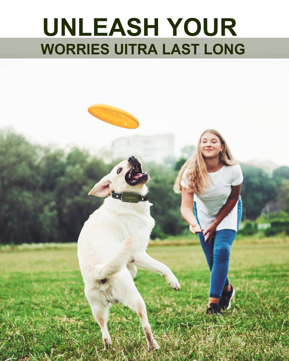 Lightweight LOVEPETPAL design fits small to large dogs for daily wear.