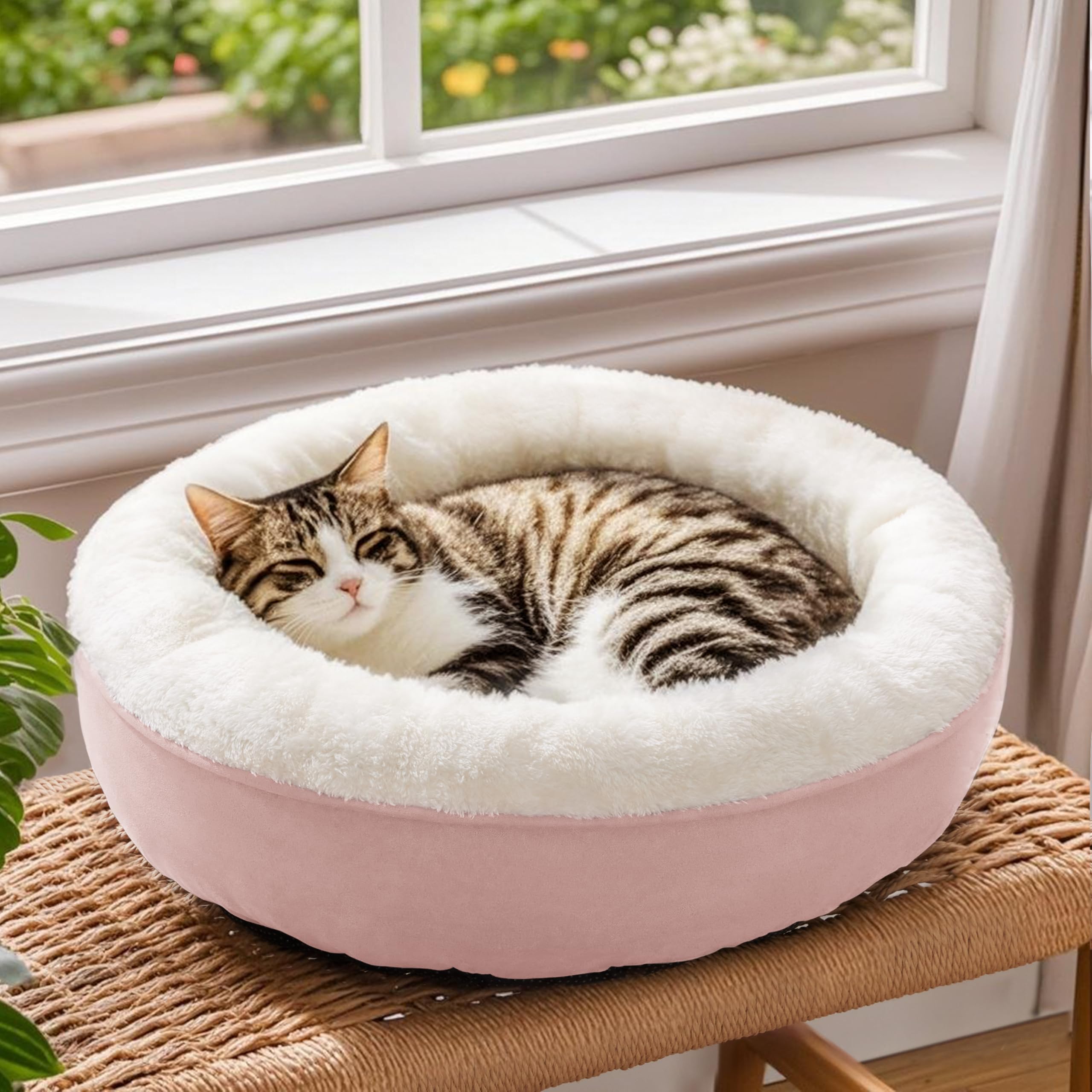 Love's cabin bed is ideal for cats and small dogs for versatile lounging.