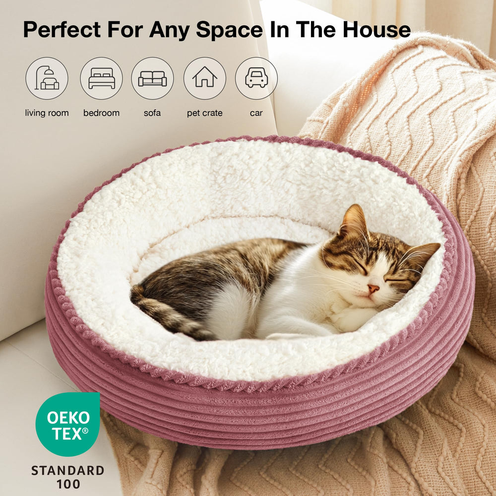 Love's cabin cat and small dog using bed in living room shows versatile comfort.