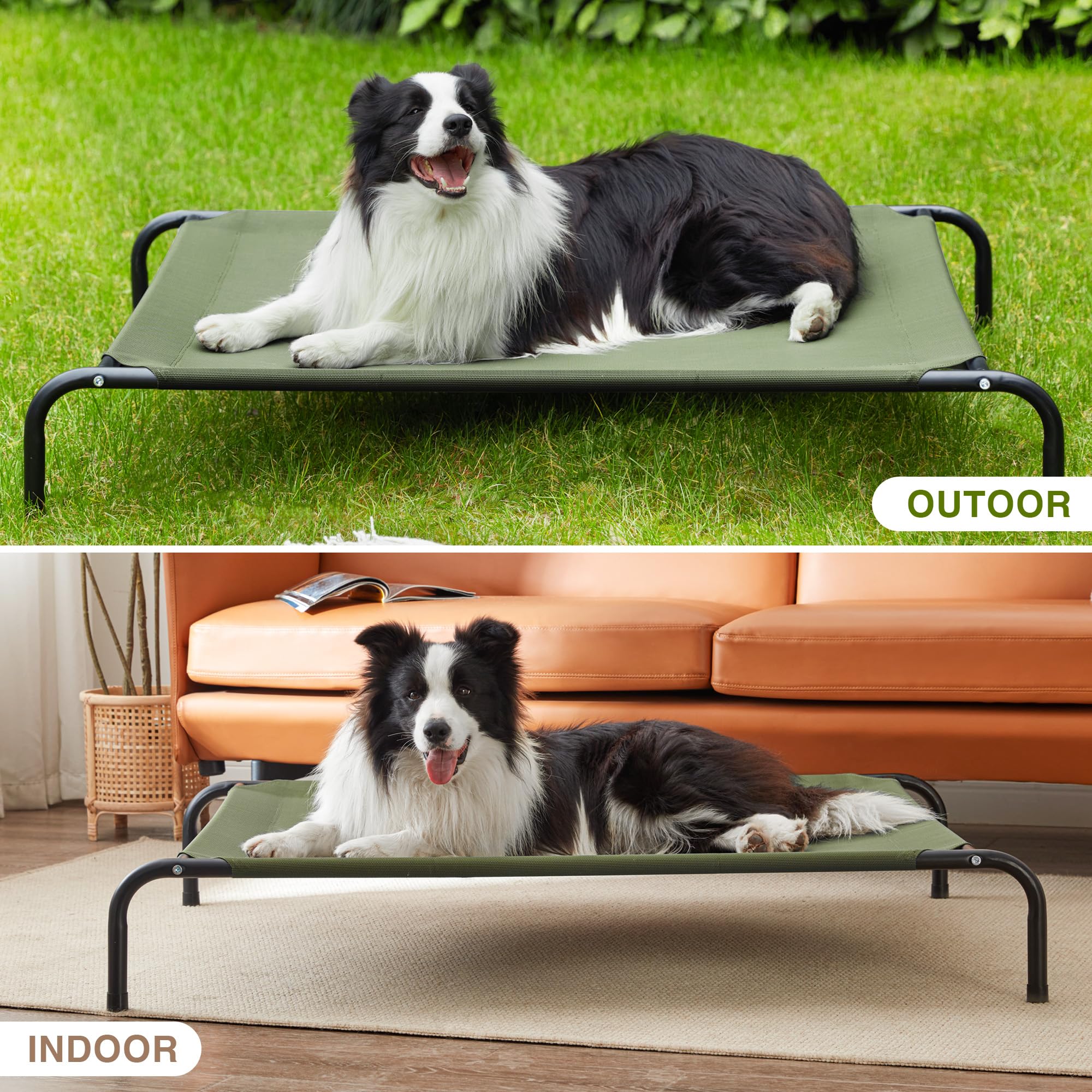Love's cabin olive-green dog bed adds a stylish touch.