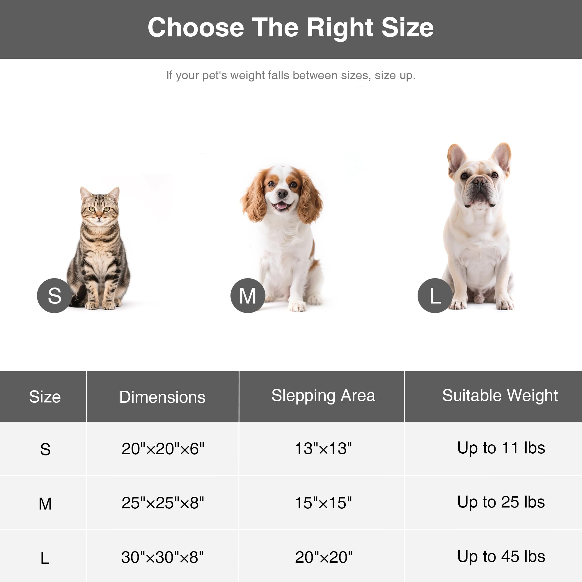 Nest-like wall and raised rim on Love's cabin bed for security