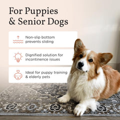 Lovewag Pets four-layer waterproof design helps contain spills effectively.