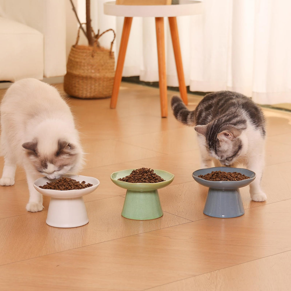 LOVINFURBABY anti-vomiting design supports comfortable posture.