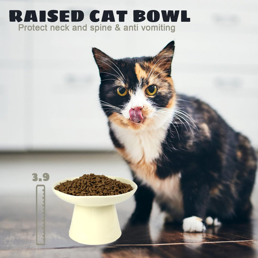 LOVINFURBABY dishwasher-safe porcelain bowl for quick cleanup.