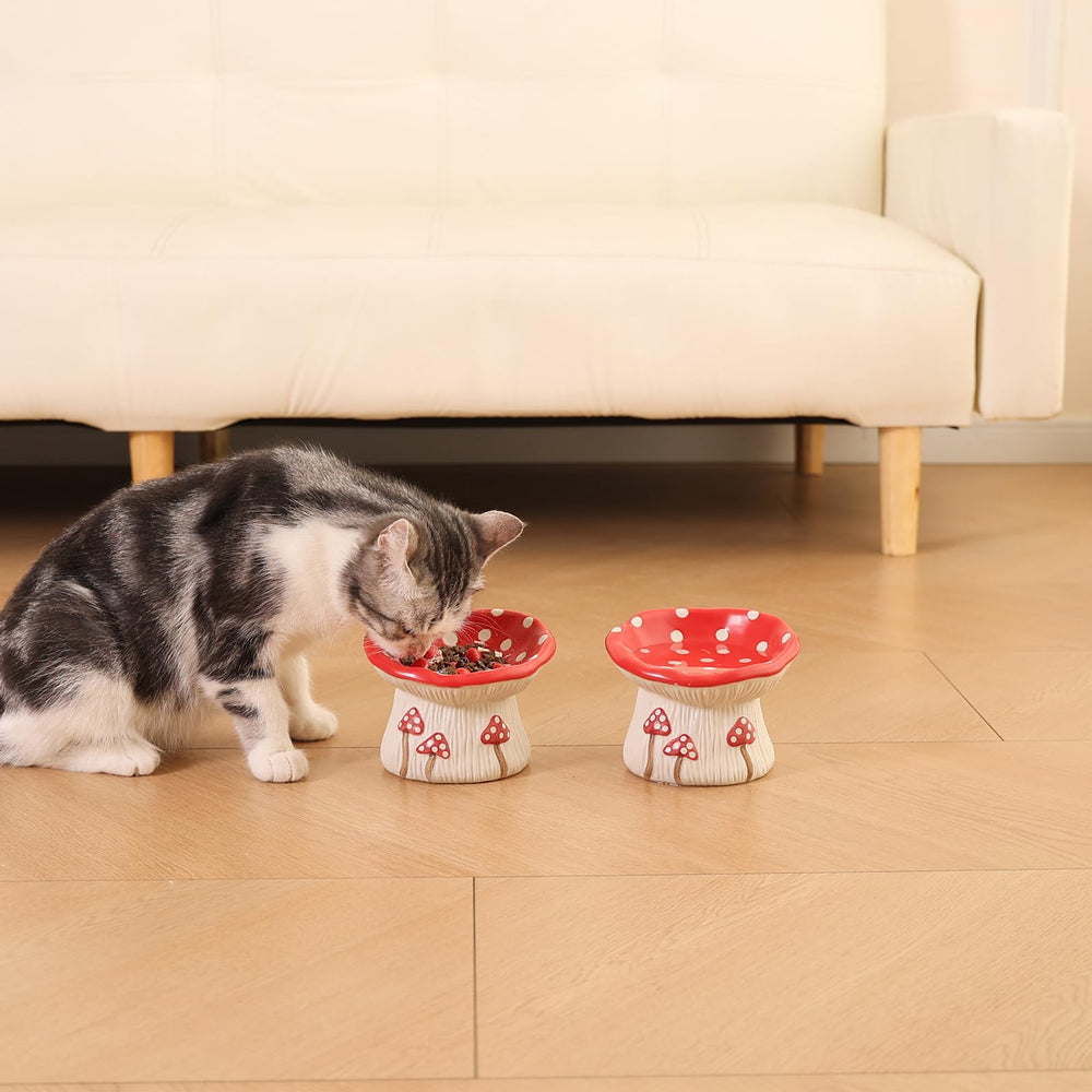 LOVINFURBABY easy-clean ceramic bowl simplifies post-meal care