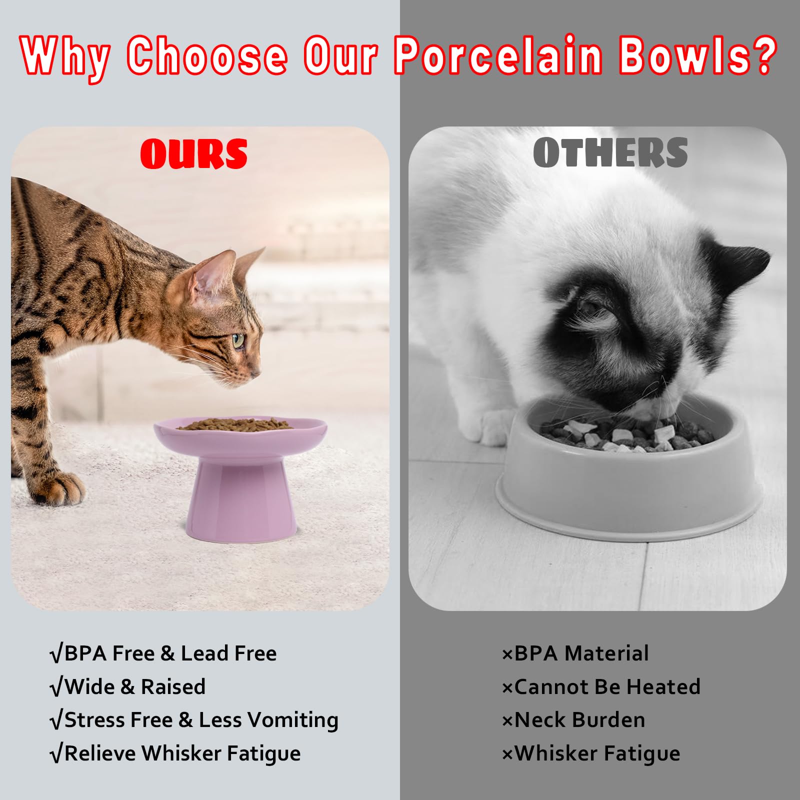 LovinFurBaby elevated feeding bowl reduces strain during meals