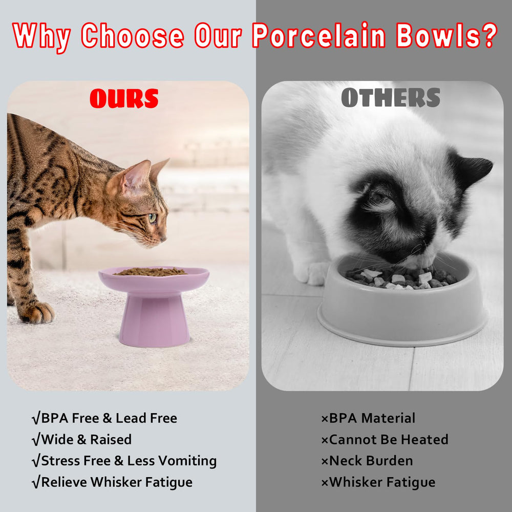 LovinFurBaby elevated feeding bowl reduces strain during meals