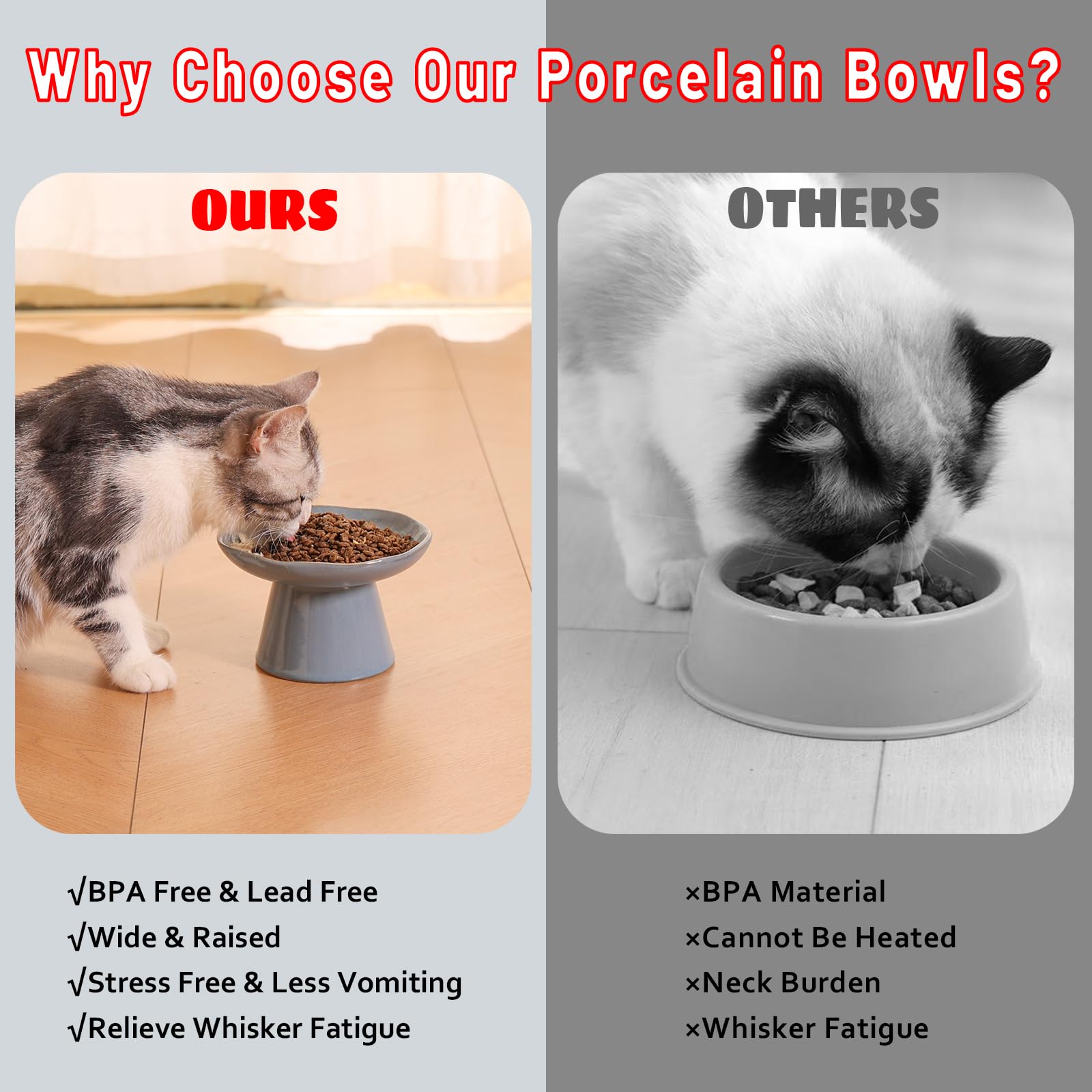 LOVINFURBABY dishwasher-safe cat bowl stays hygienic