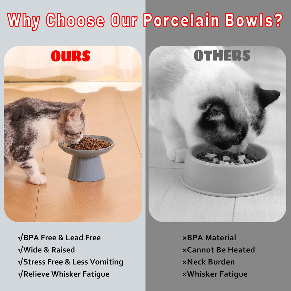 LOVINFURBABY dishwasher-safe cat bowl stays hygienic