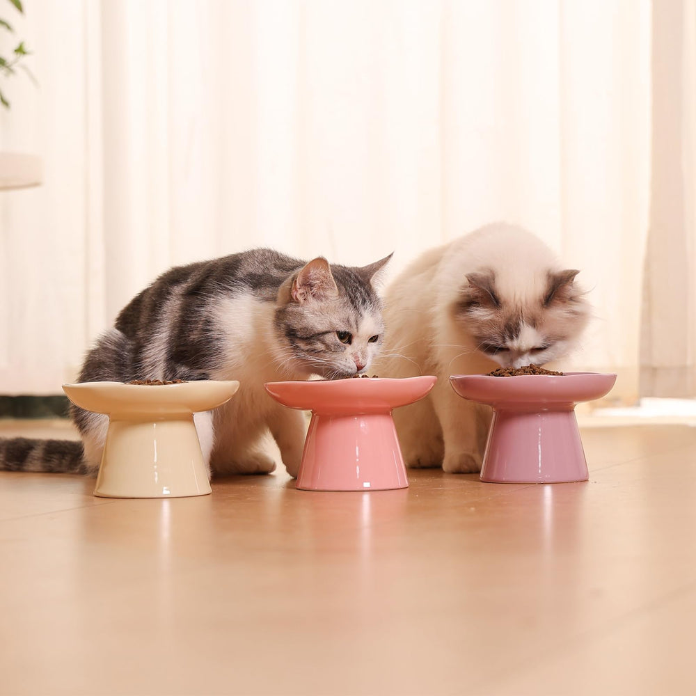 LOVINFURBABY sturdy packaging helps protect bowls during shipping.