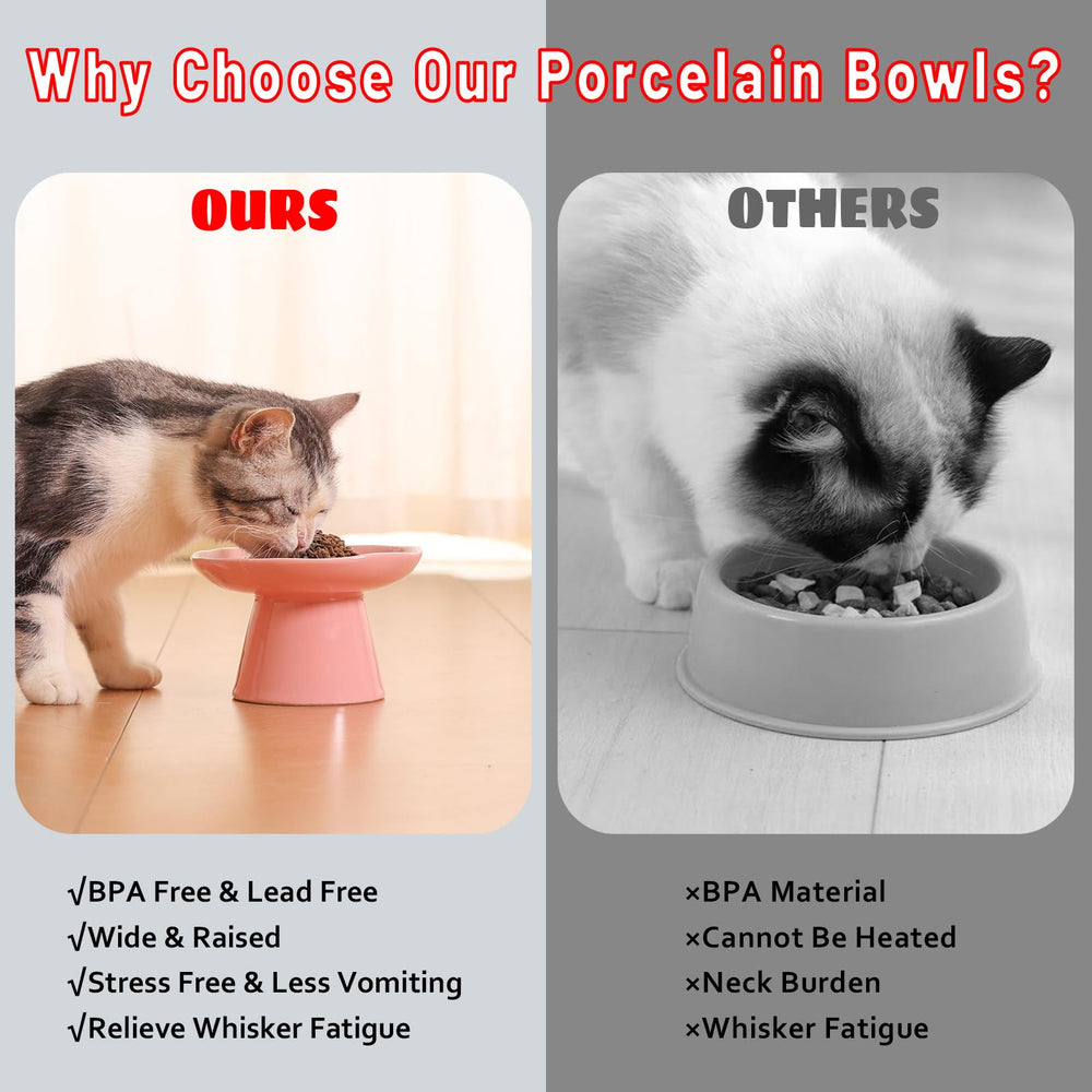 LOVINFURBABY porcelain material for safe dining