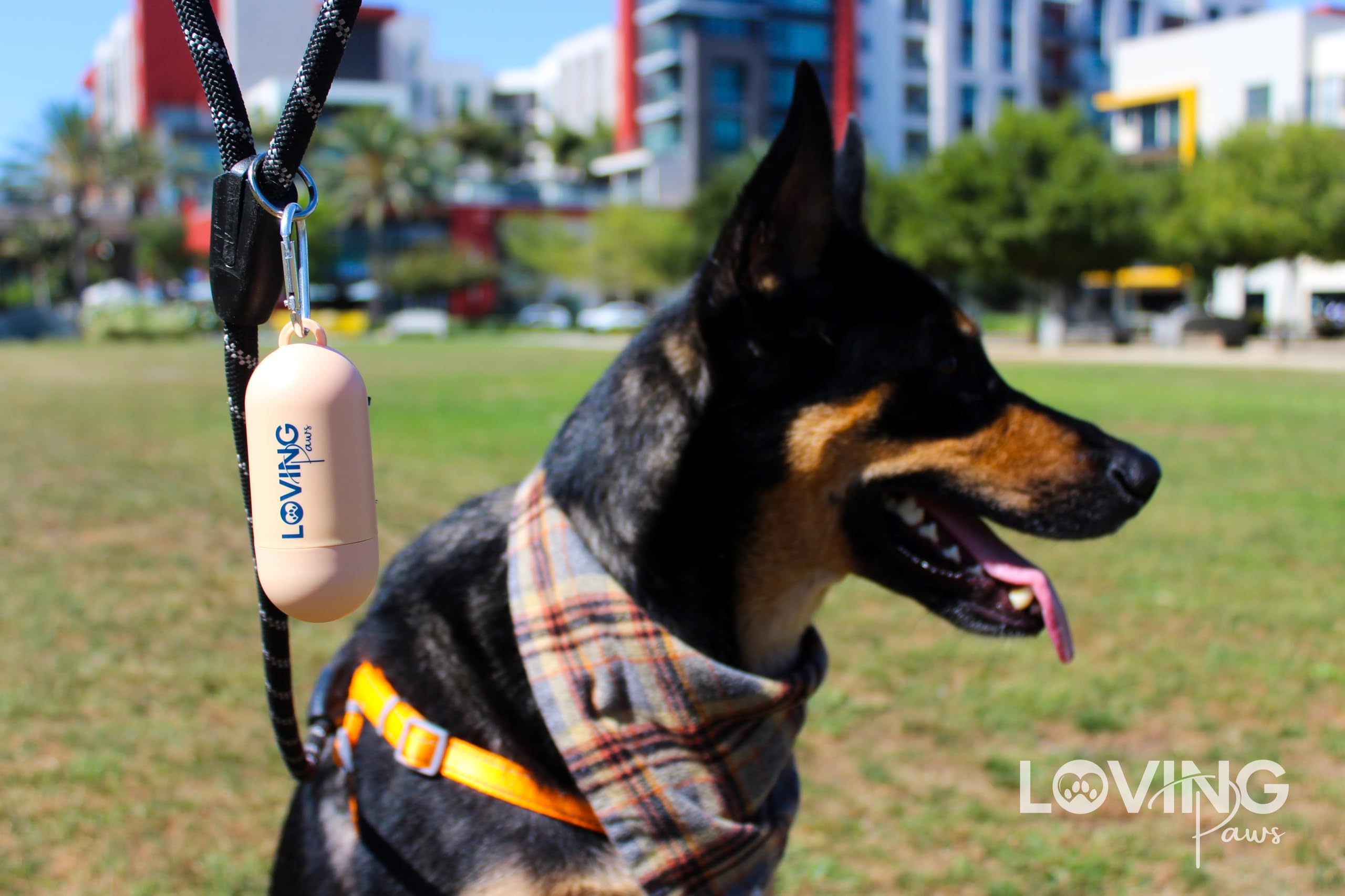 Loving Paws multi-use bags suitable for different pet waste and travel.